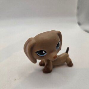 Authentic littlest pet shop dash hound brown tan Beige blue teardrop LPS